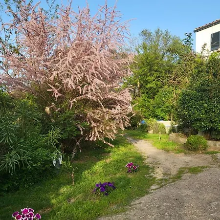 Appartement A Gravona
