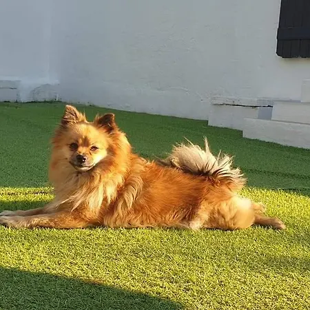 A Gravona Apartment *