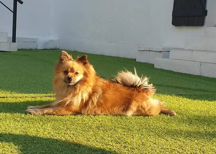 A Gravona Appartement *