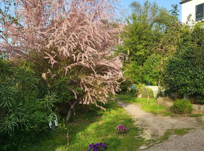 Appartement A Gravona